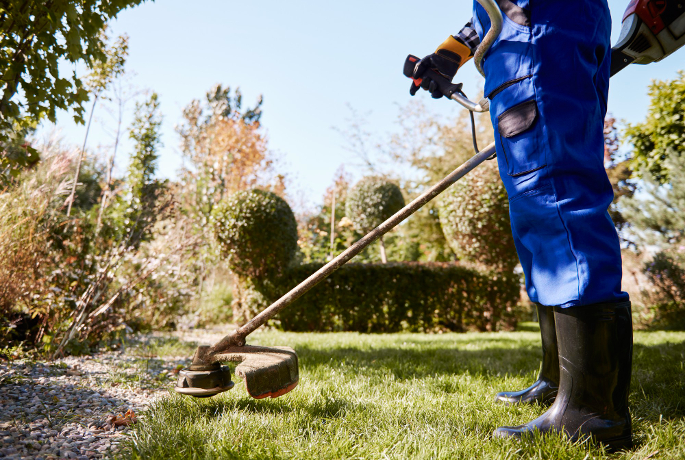 Débroussaillage et désherbage de jardin